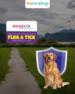 Bravecto-Chews-for-Dogs-The-Ultimate-Solution-for-Flea-Tick-Protection-PetCareClub